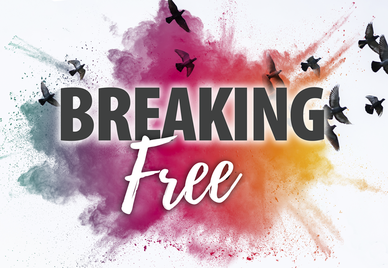 Breaking Free:  RLI Intro Weekend