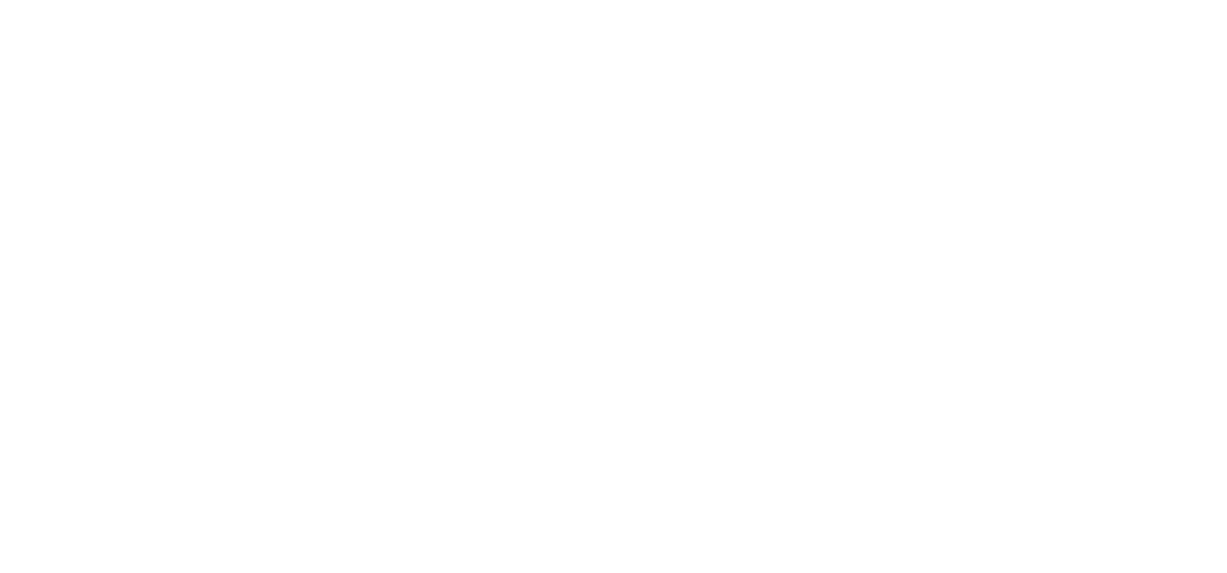 RLI_Logo_Stacked_White_transparent_18